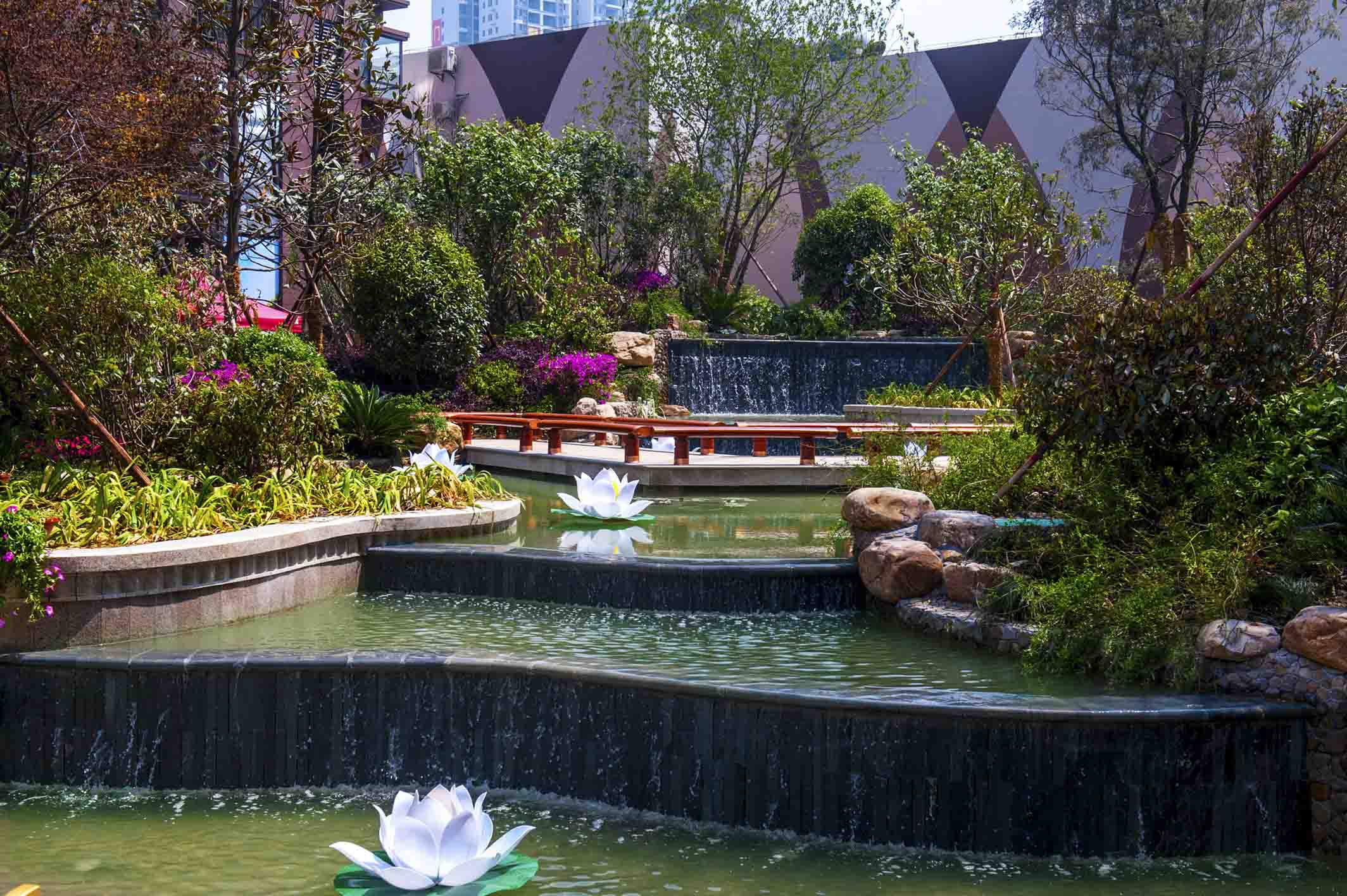 DSC_7672 拷貝.jpg DSC_7672 拷貝.jpg