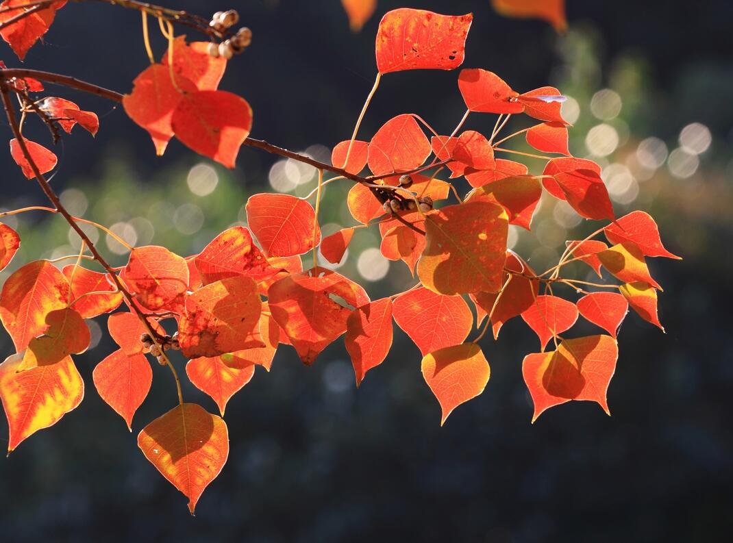 e3b6cf5a-ae68-4f31-bf6e-f17de4d9bac2.jpg e3b6cf5a-ae68-4f31-bf6e-f17de4d9bac2.jpg