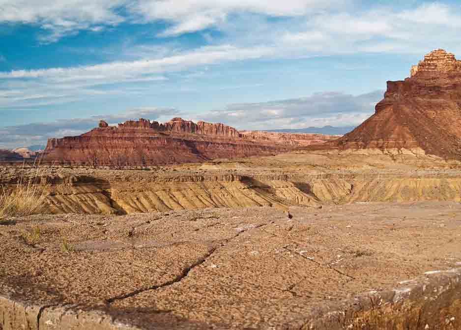 荒漠生態(tài)系統(tǒng)——荒漠生態(tài)系統(tǒng)的分布、基本特征