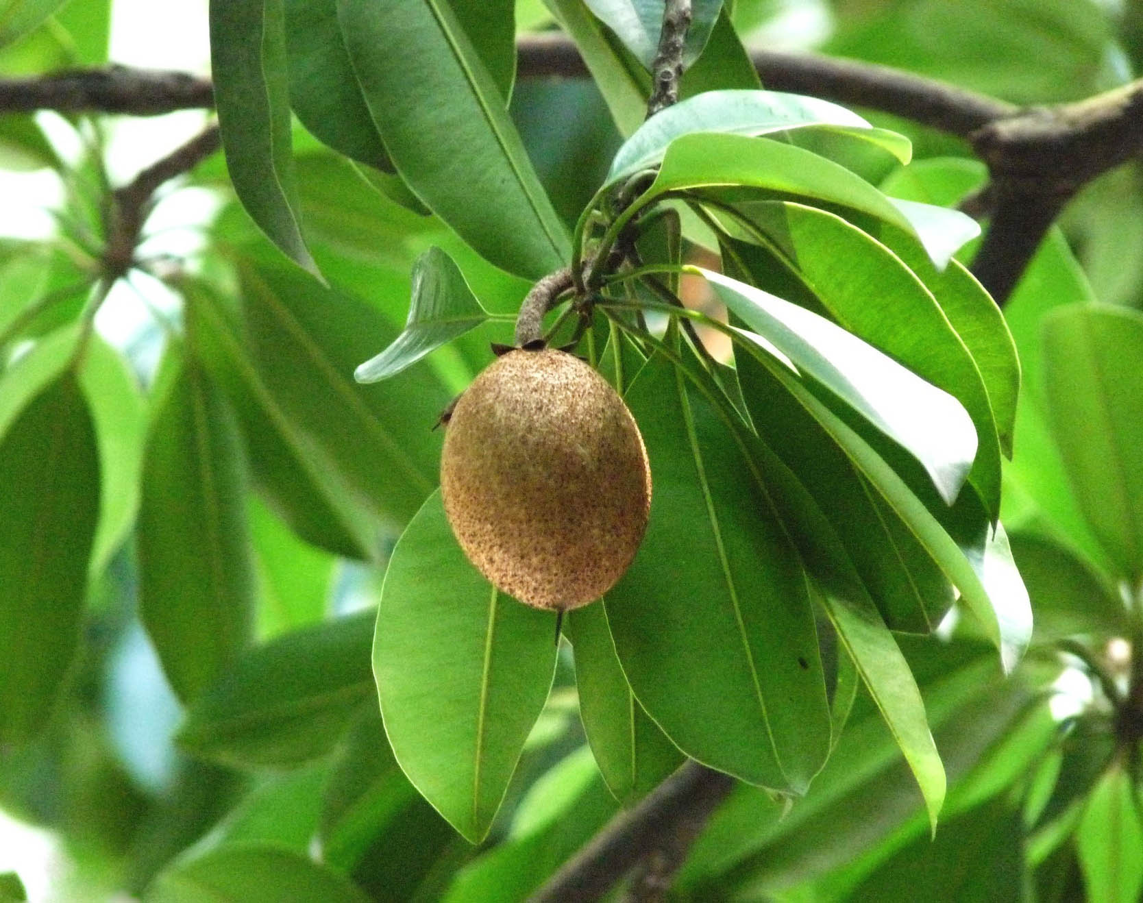 人心??.jpg 人心??.jpg