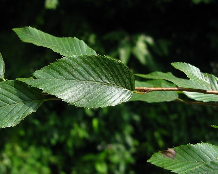 8c1001e93901213f25049b4954e736d12f2e9574.jpg 8c1001e93901213f25049b4954e736d12f2e9574.jpg