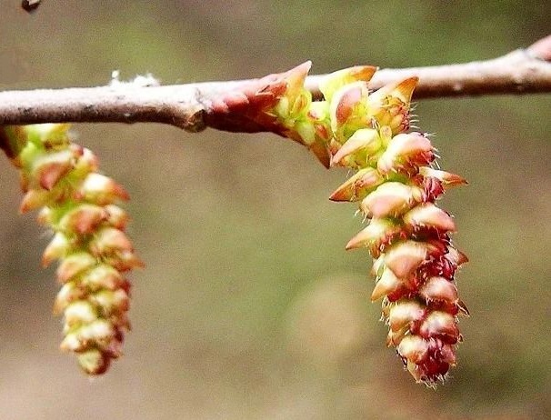 a9d3fd1f4134970ac9638b149bcad1c8a7865dfd.jpg a9d3fd1f4134970ac9638b149bcad1c8a7865dfd.jpg